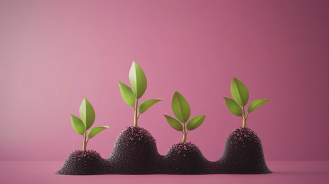 企业快速增长图