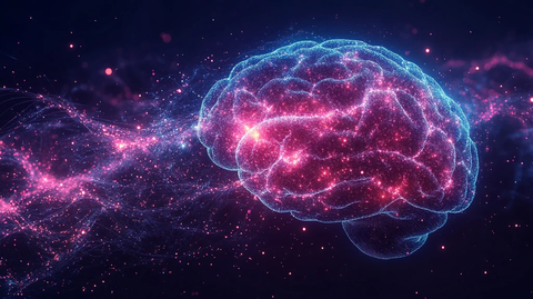 机器人系统大脑