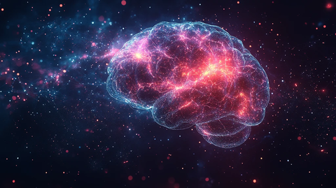 机器人系统大脑