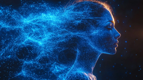 蓝色数字网人体