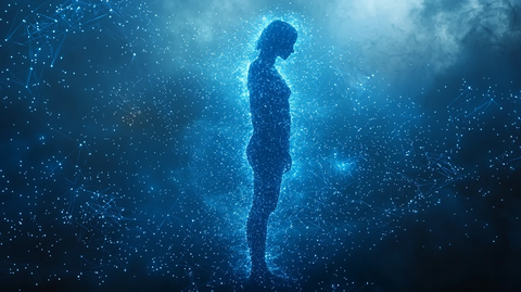 蓝色数字网人体