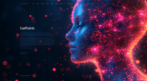 系数神经网络头