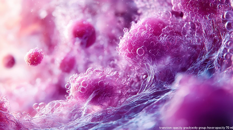 发光器官可视化