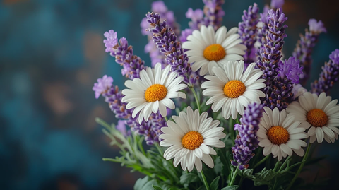白菊与薰衣草花束