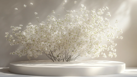 白色讲台飞花