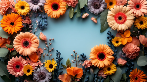 花框与柔色背景