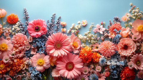 花框与柔色背景