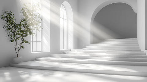 白色背景自然光