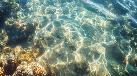 清澈见底的海水