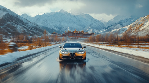 花海中的布达拉宫