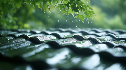 雨中古建筑屋顶与多彩秋林相映成趣