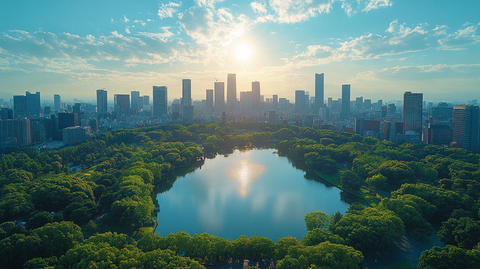 城市中绿树环绕的古建筑鸟瞰全景