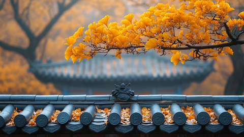 古建筑屋顶上铺满金黄银杏树叶