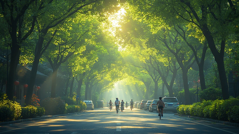 林荫道上骑行的人阳光洒下氛围惬意
