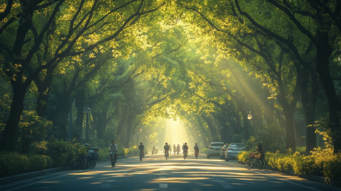 林荫道上骑行的人阳光洒下氛围惬意