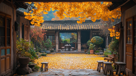 古旧村落中黄叶满地的宁静秋景
