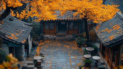 古旧村落中黄叶满地的宁静秋景