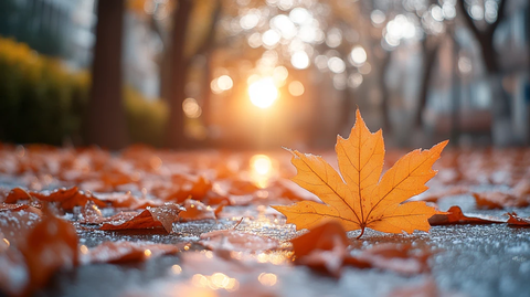 落叶小径上行走的人们