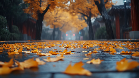 铺满黄叶的潮湿街道秋意浓