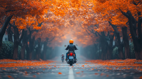 骑摩托车穿行在满是黄叶的林荫大道上