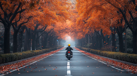 骑摩托车穿行在满是黄叶的林荫大道上