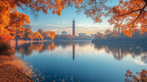水边赏塔景金黄树叶下的惬意漫步