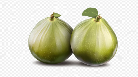 蜂糖李写实插画