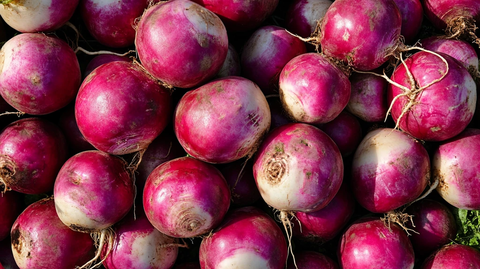 紫皮洋葱详情