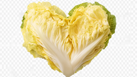 黄心菜素材