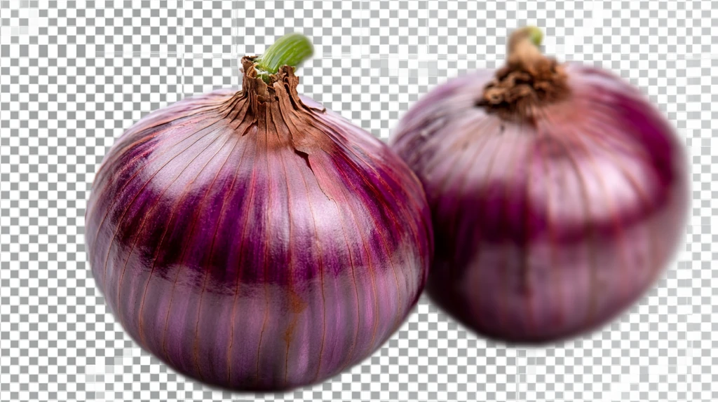 洋葱素材下载