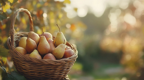 整篮梨子装饰