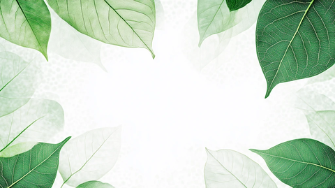 绿叶背景设计素材