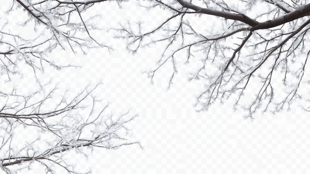树枝素材冬天树枝