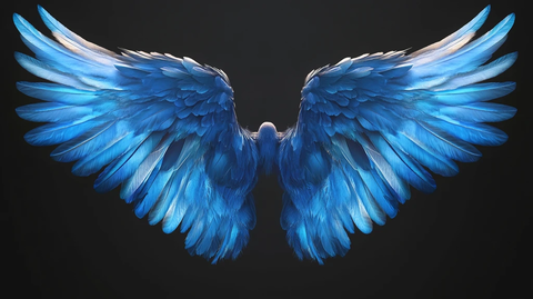 翅膀素材