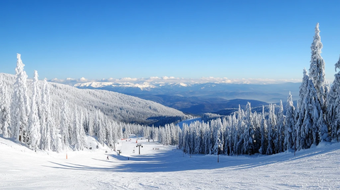 滑雪场全景
