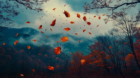 红叶云烟