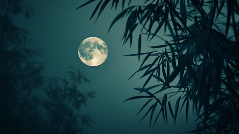 竹林圆月