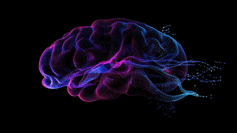 深度学习神经网络