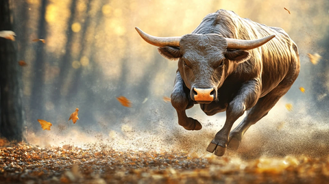 牛市图片素材下载