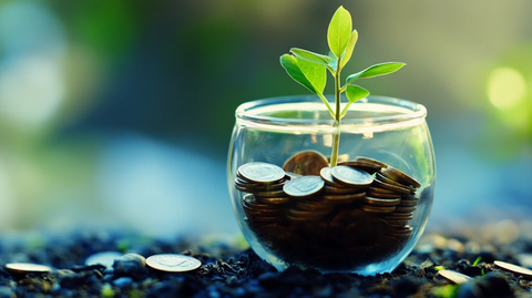 投资理财的培养