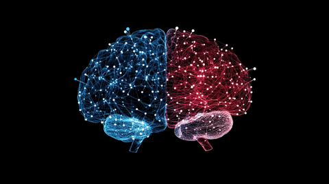 脑控设备神经连接