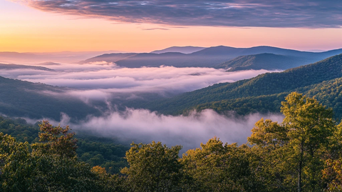 林场金秋山区云雾