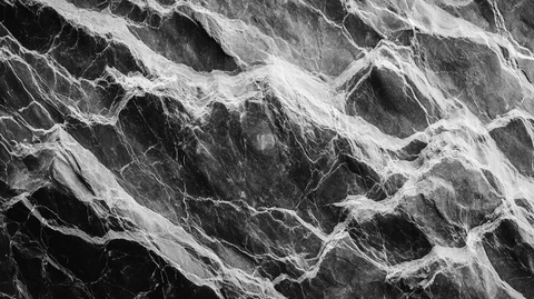 抽象黑白石根线条