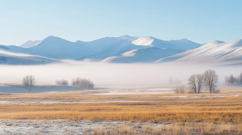 雪原晨雾