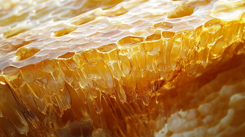 蜂巢蜜详情