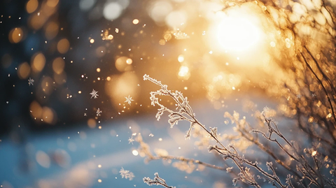 冬天阳光冬季暖阳