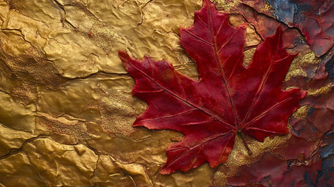 金色枫叶壁纸