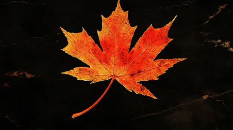 枫叶电脑桌面壁纸