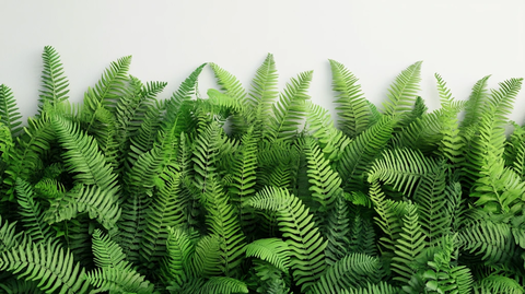 绿植背景墙植物背景墙
