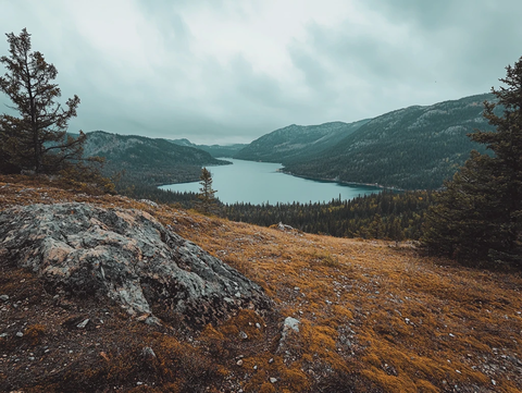 松树喀纳斯高山湖泊